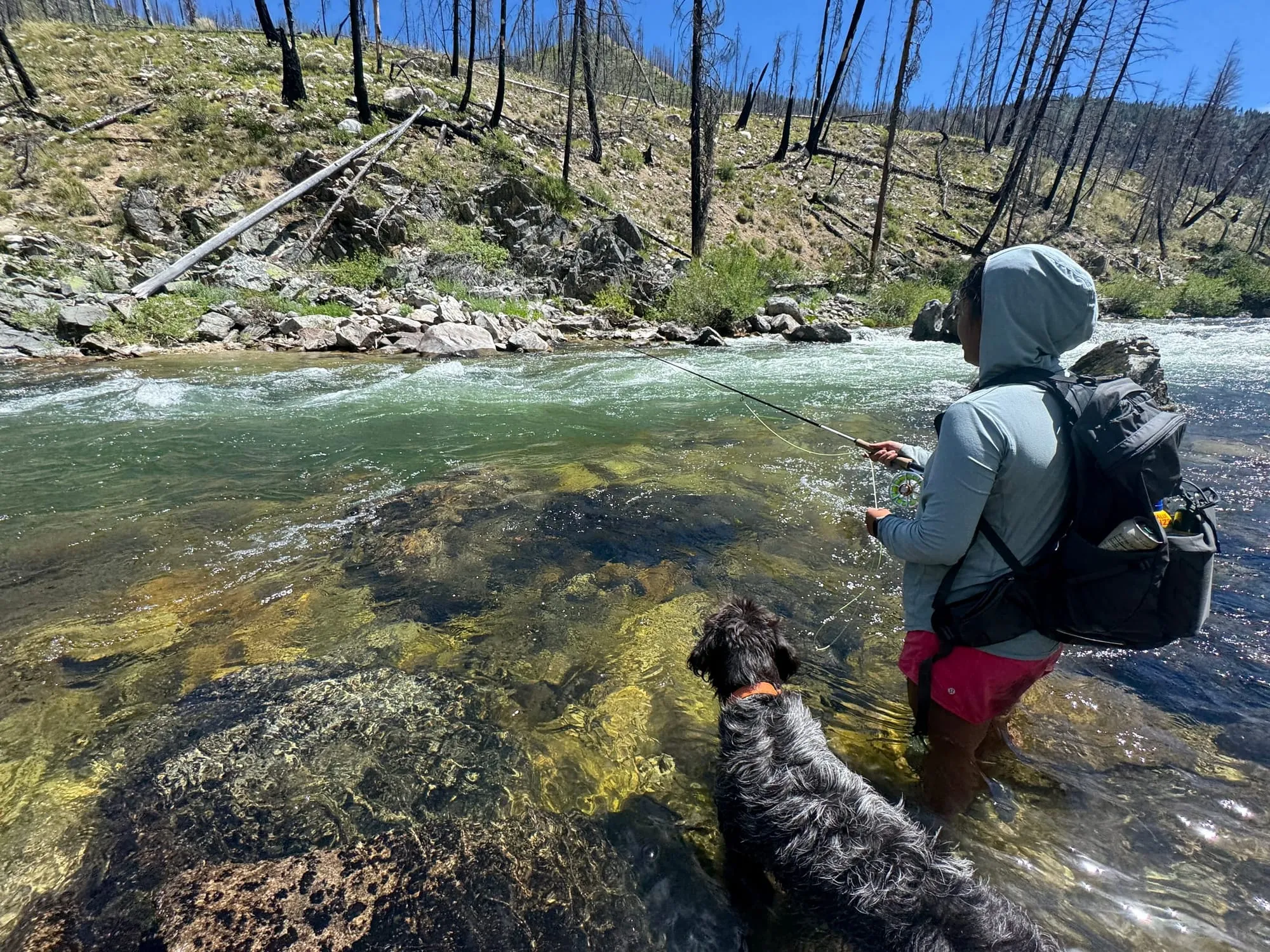 Wading a creek through a burn with the dog