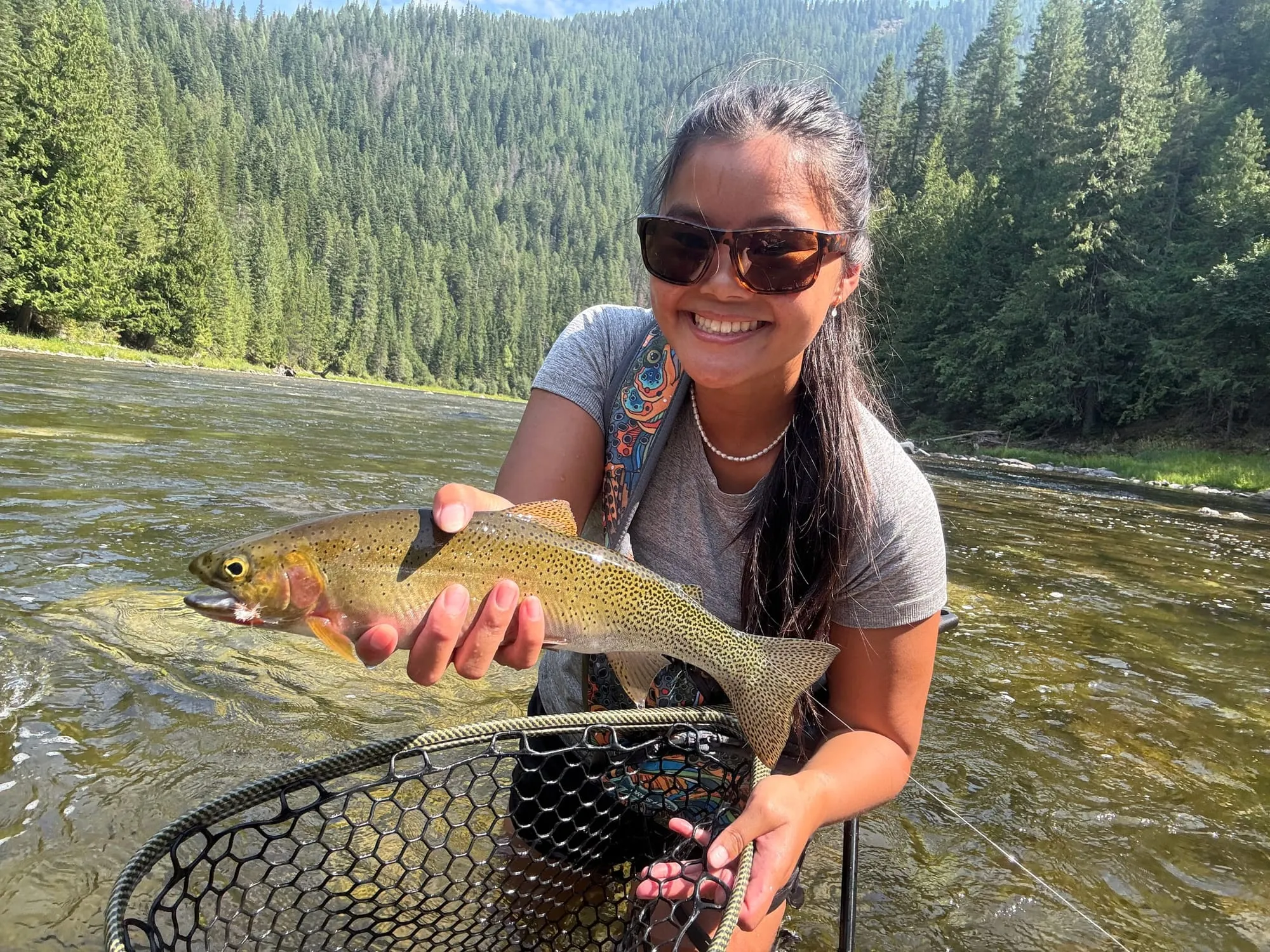 A cutthroat trout over the net