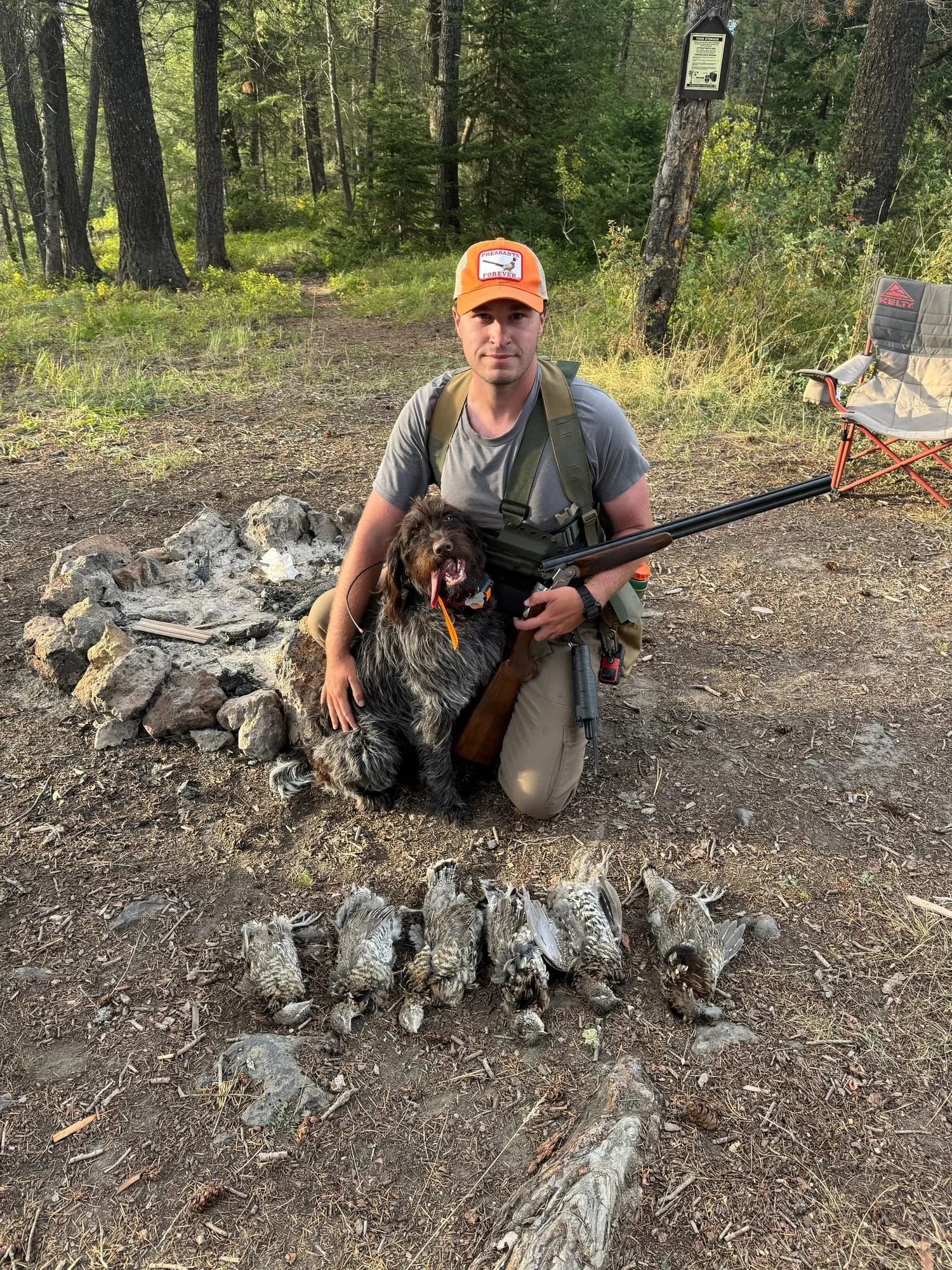 The dog and a day’s grouse at camp