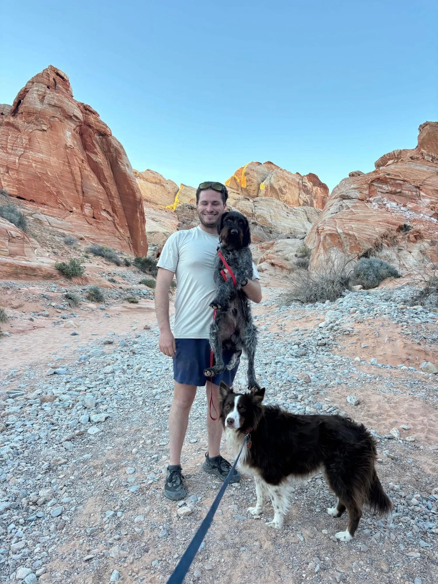 Hiking the red rocks with the dogs