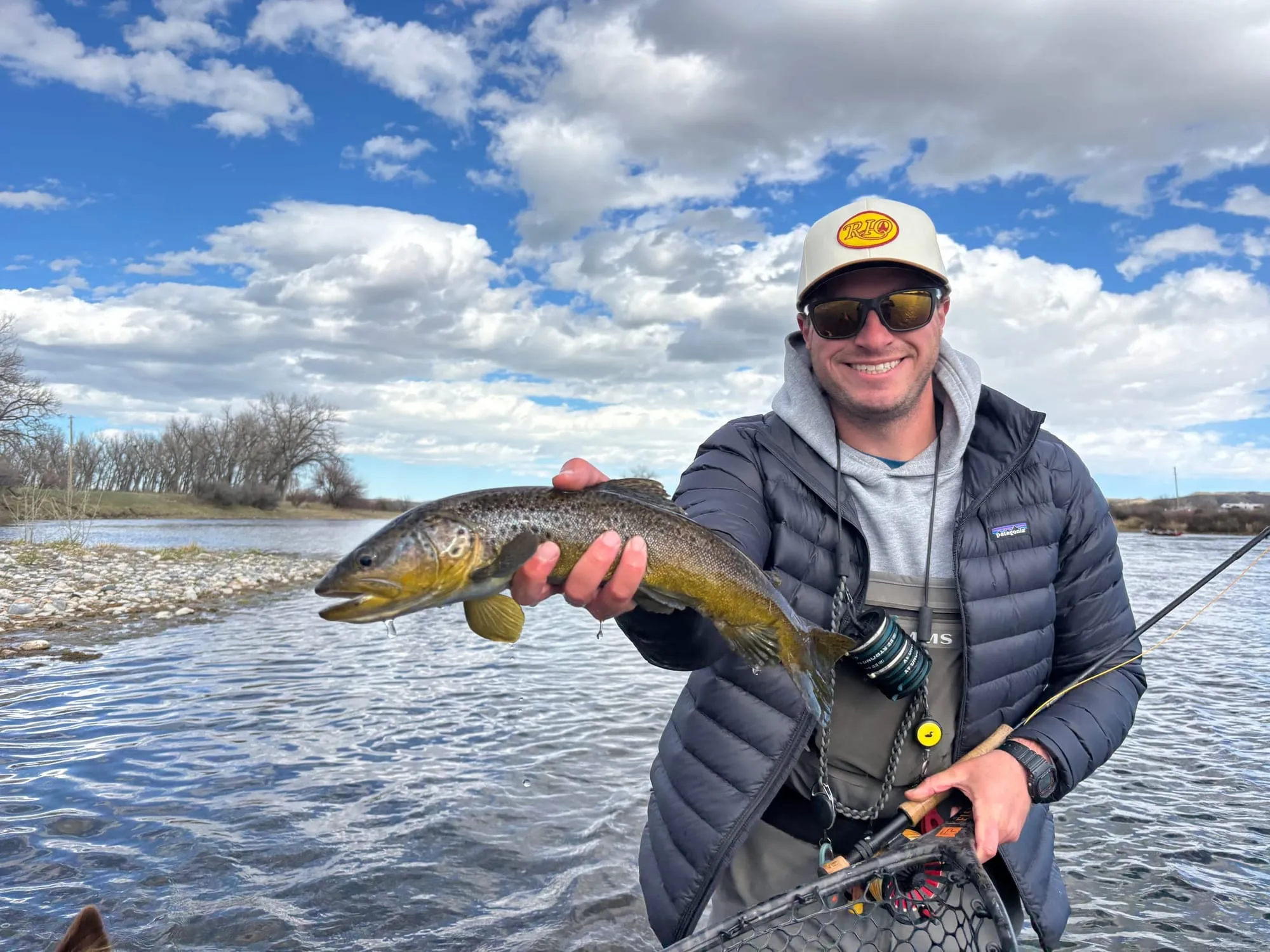 A brown trout under big clouds