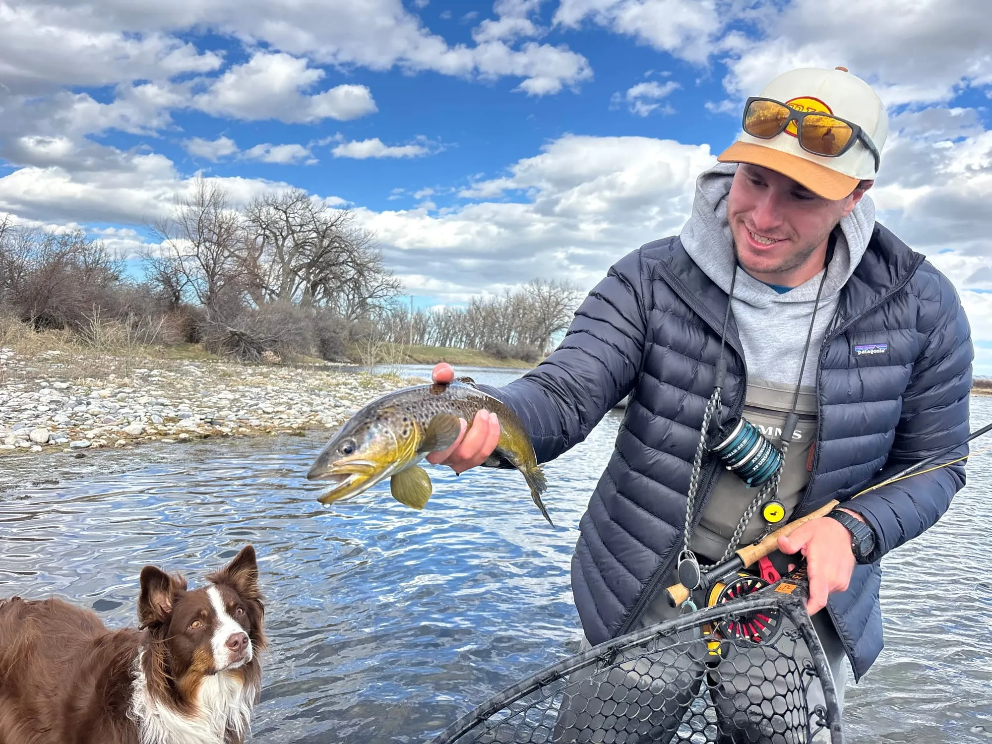 A brown trout with the dog looking on