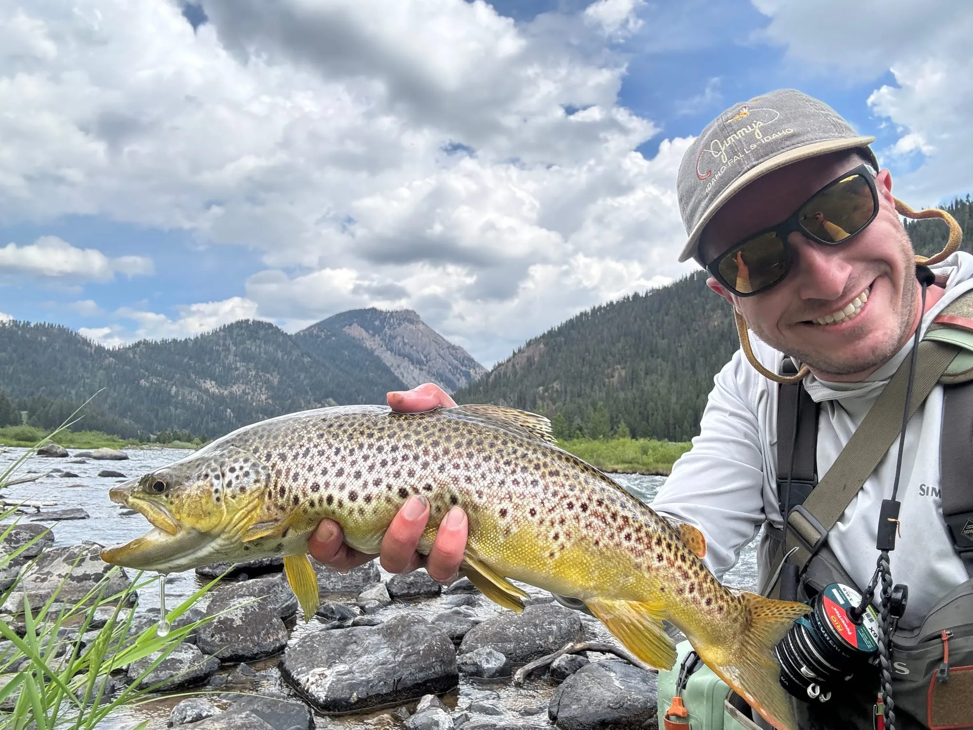 Brown trout held over a mountain river