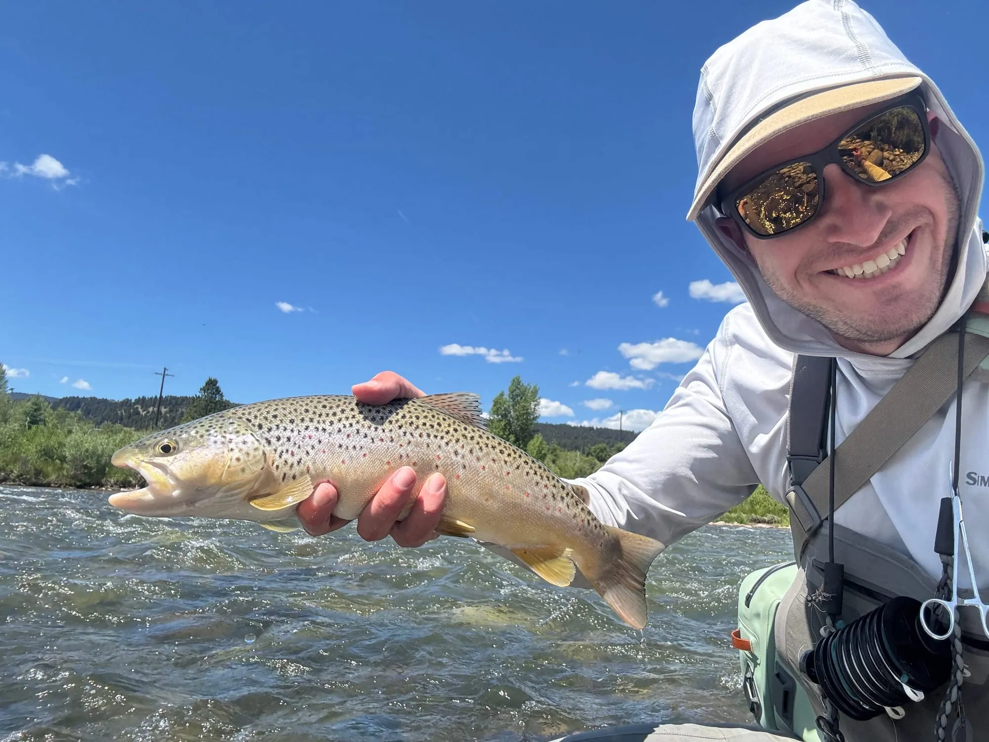 Brown trout under a blue sky