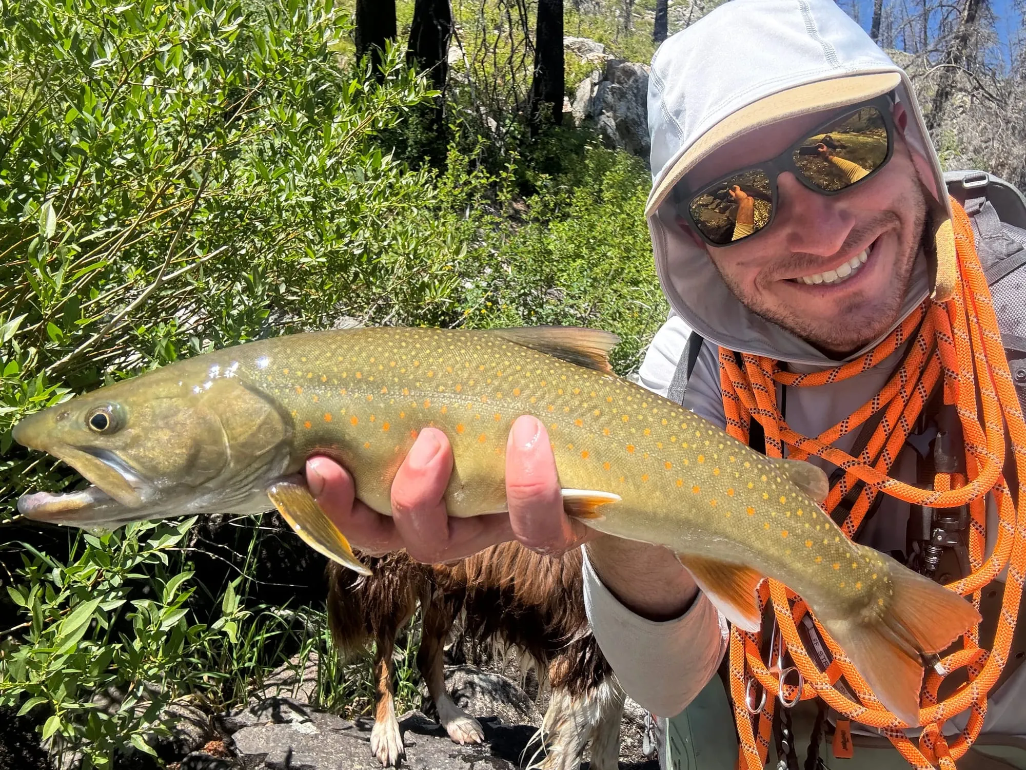 Bull trout held in front of a green bank