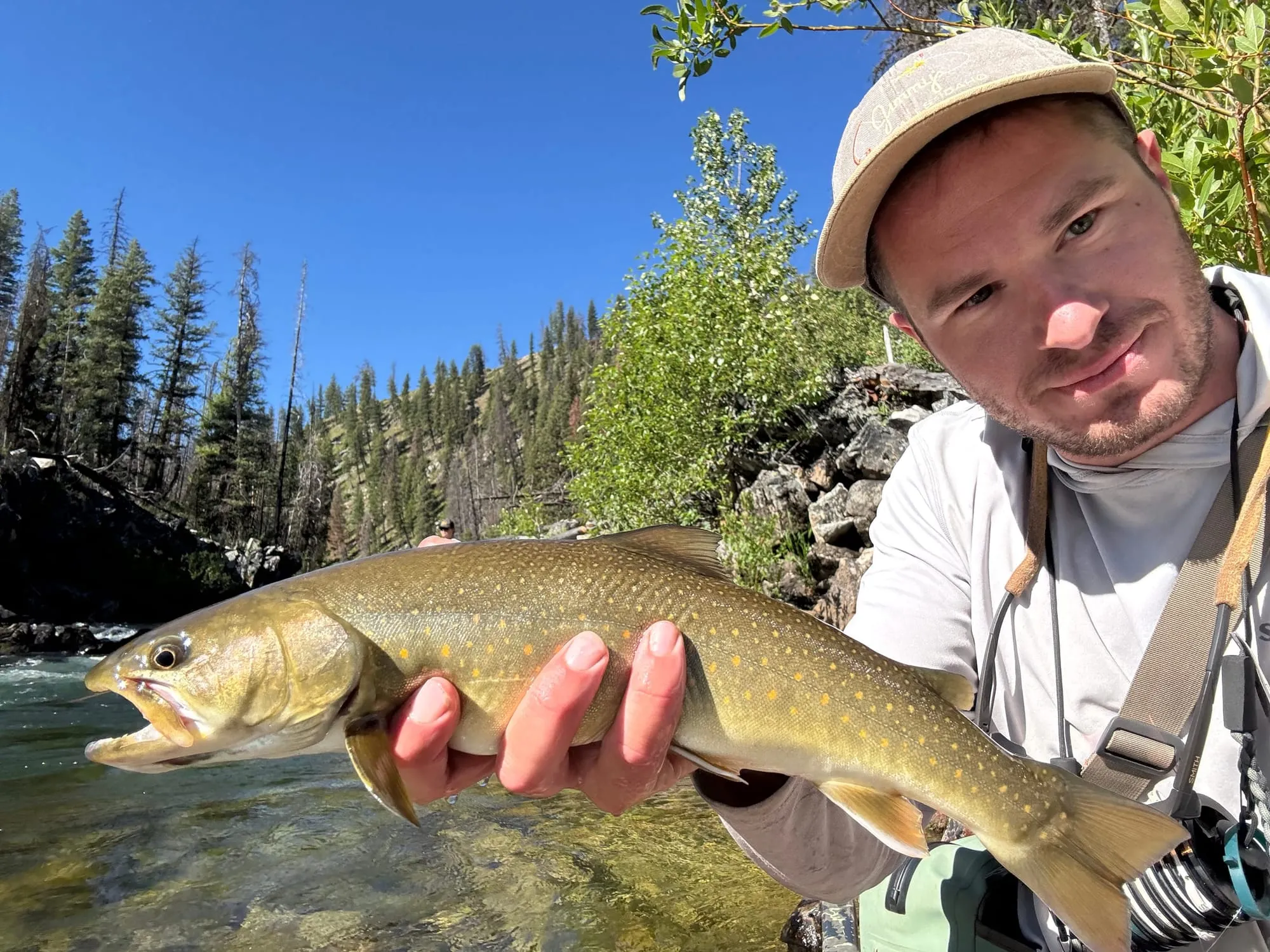 Cutthroat trout on a forested river