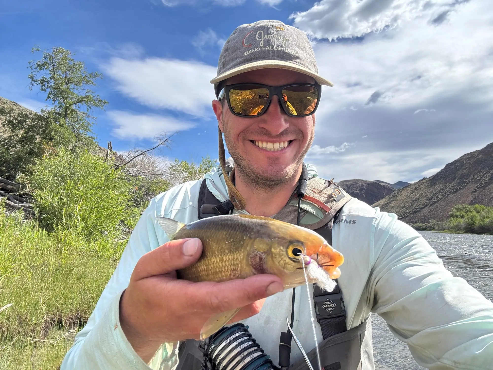 A small trout held up in the canyon
