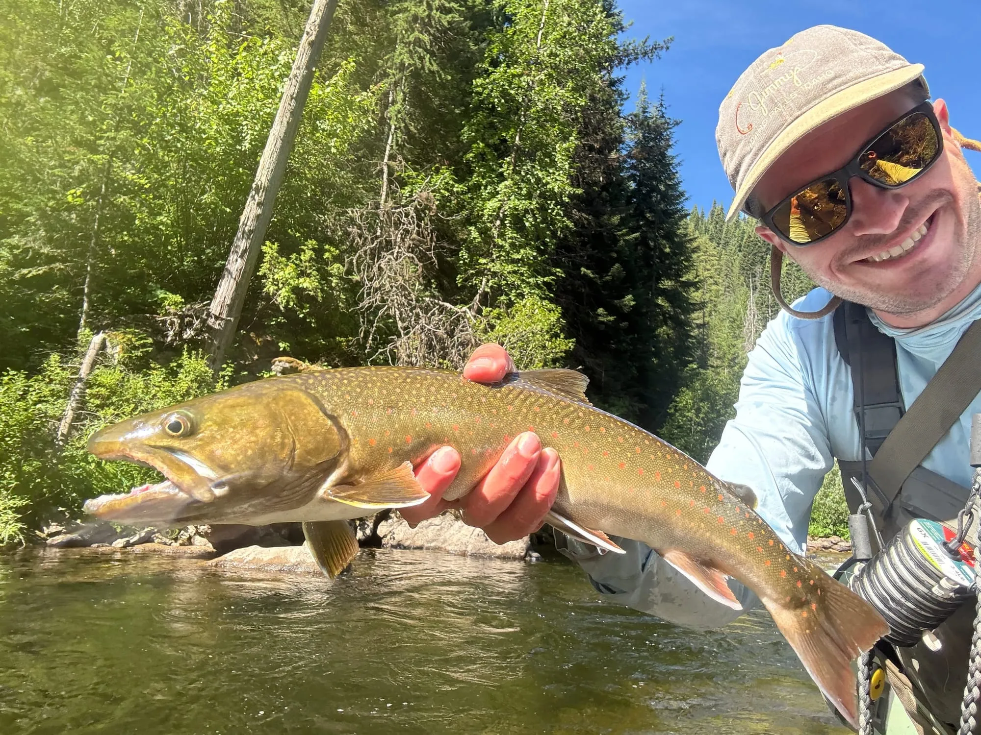 Bull trout over a clear forest stream