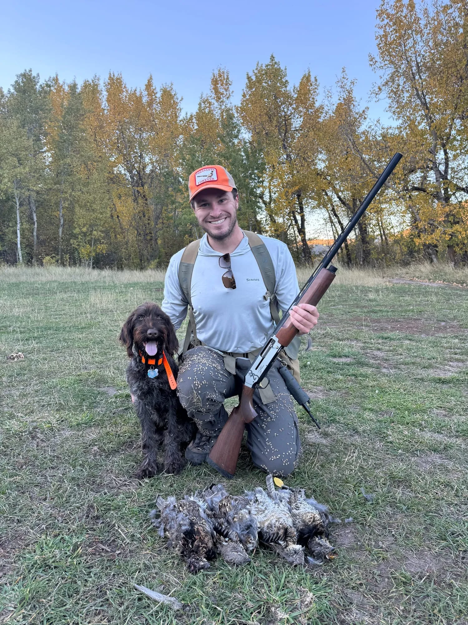 The dog and a pile of birds under fall colors