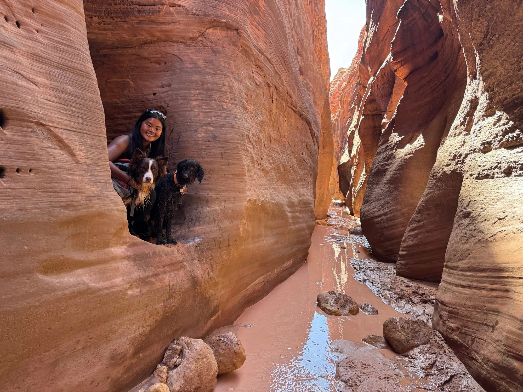 A slot canyon with the dog