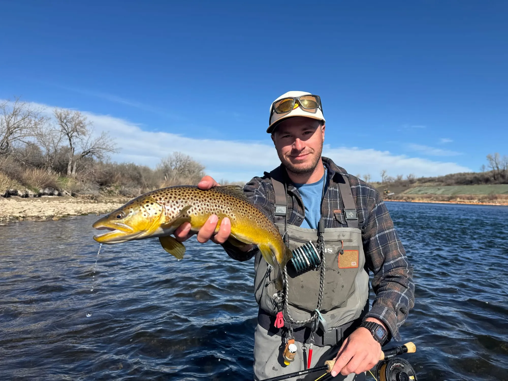 A big brown trout under a blue sky