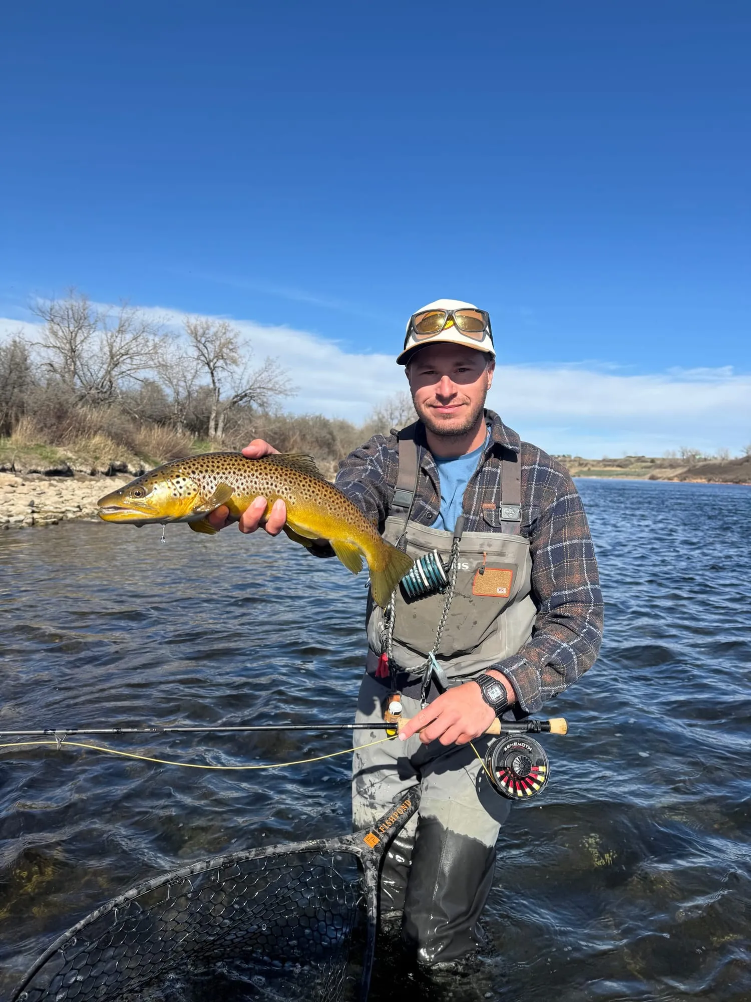 The same brown, held up midstream