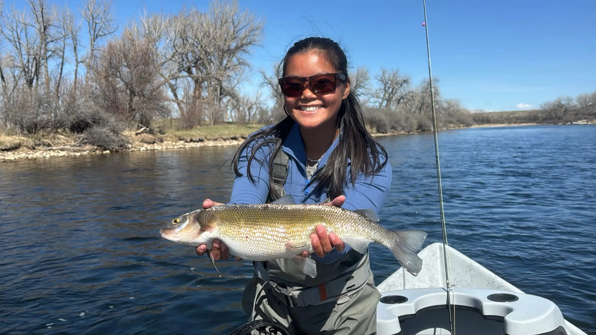 A whitefish from the boat