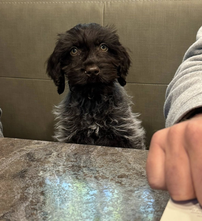 Odin